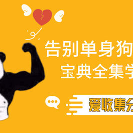 告别单身狗宝典
