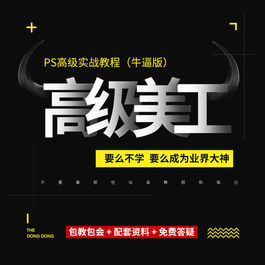 高价买PS淘宝电商美工photoshop教程