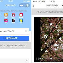 抖音去水印小程序源码独立版 无后台