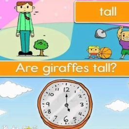 美国启蒙英语全套早教课程