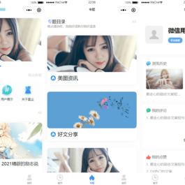wordpress制作小程序源码 内含视频教程