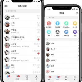 视酷即时通讯IM原生APP/高仿微信/全源码无加密/带详细的部署文档/多端