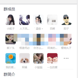 新版微信九块九进群系统源码全解