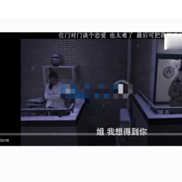 BGS局域网视频源码