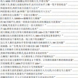 2023年450个网络搞钱玩法 几百个自媒体项目合集 让你不再做韭菜