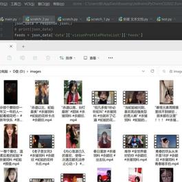 python批量爬取快手主页视频代码