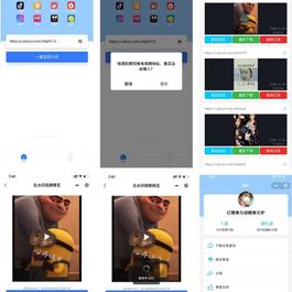 短视频去水印小帮手微信小程序源码带后台