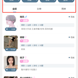 价值29800元最新商业版陪玩3.0独立版本系统