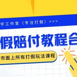 2023年全套打假合集，集合市面所有正规打假玩法