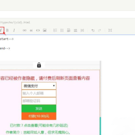 付费阅读自媒体插件源码 文章付费阅读Typecho插件源码 主要提供阅读付费功能