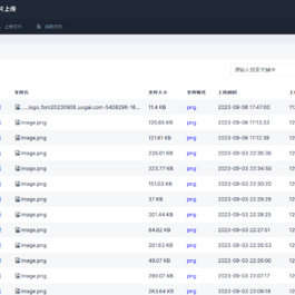 全新UI彩虹外链网盘系统源码前后端美化模板