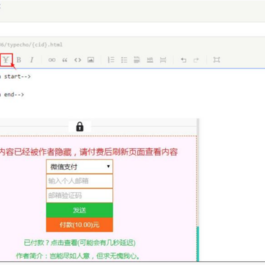 typecho插件文章免登陆付费阅读插件付费阅读自媒体插件源码