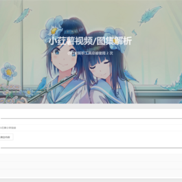 小红书视频图集解析去水印网站源码