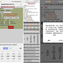 (亲测)九龙道长同款样式八字排盘程序 八字排盘算命源码