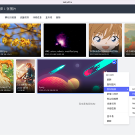 多功能PHP图床源码：Lsky Pro开源版v2.1 – 最新兰空图床