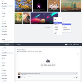 多功能PHP图床源码Lsky Pro开源版v2.1