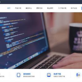 企业级授权源码 – 高价值企业授权系统 内含授权系统 工单系统和盗版检测功能