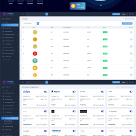 区块链虚拟币代币销售拍卖平台,加密货币全方位数字资产交易平台