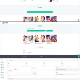 强大的api管理系统Storm Core API_V1.1免授权源码分享