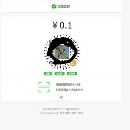 运营级V免签个人收款系统付费进群接口对接赞赏码送对接易支付源码 手机APP监控 带教程