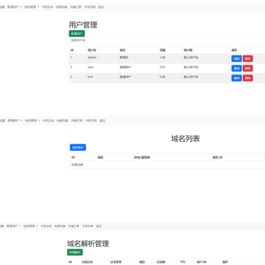 迅风DNS二级域名分发程序开心版