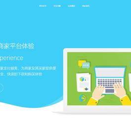 个人免签码支付系统源码/免签支付系统/微信支付平台 附教程