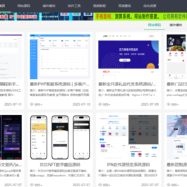 资源站系统源码刀客同款源码