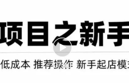 虚拟项目快速起店模式，0成本打造月入几万虚拟店铺！