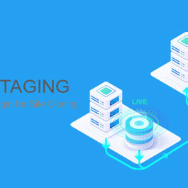 【WordPress插件】WP Staging Pro v4.2.10 汉化版 WordPress网站复制克隆插件