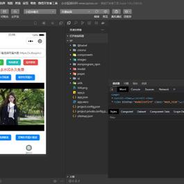 短视频去水印和图片加水印生成微信小程序源码