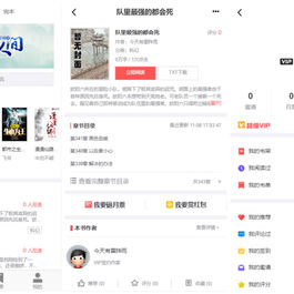 小说聚合网站系统源码 带会员收费机制