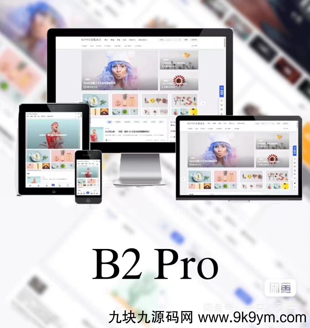 最新版7B2 PRO主题5.4.2 免授权开心版源码